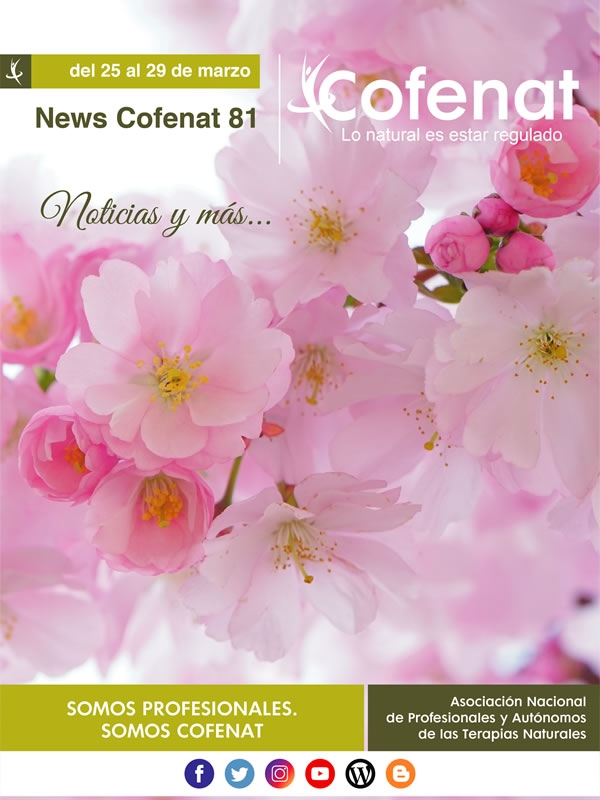 Noticias Cofenat 81