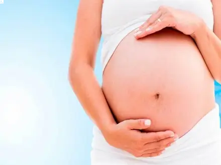El Embarazo y sus claves