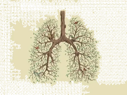 Evaluación de la función pulmonar después del tratamiento de manipulación osteopática frente a la rehabilitación pulmonar estándar en una población sana.