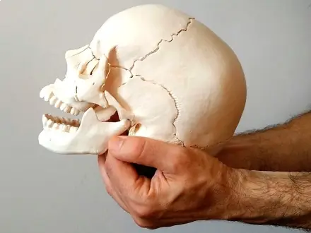 Osteopatía Cráneo-Sacra