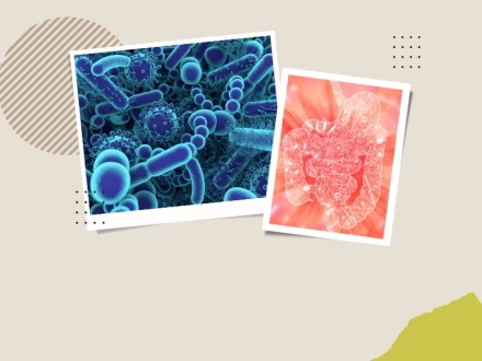 Qué es la disbiosis intestinal y cómo equilibrar la microbiota